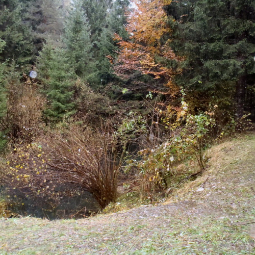 Forni di Sotto n. 3 / 57907