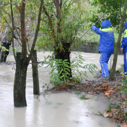 Interventi per maltempo del 11/11/12 n. 4 / 88442
