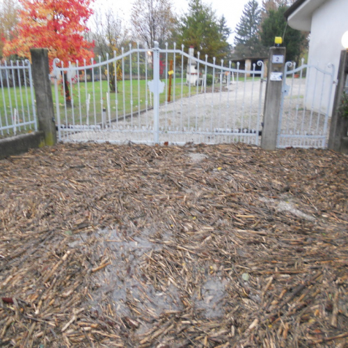 Interventi per maltempo del 11/11/12 n. 12 / 88450