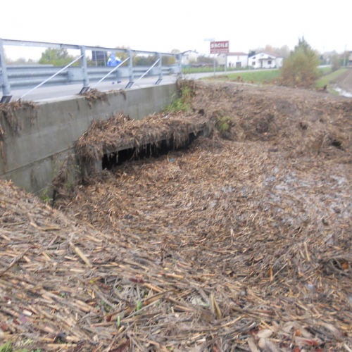 Interventi per maltempo del 11/11/12 n. 16 / 88454