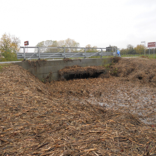 Interventi per maltempo del 11/11/12 n. 17 / 88455