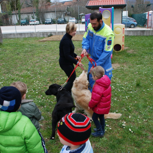 Prova evacuazione scuola di Prepotto n. 161 / 95754