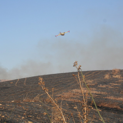 Canadair f. 23 / 15906