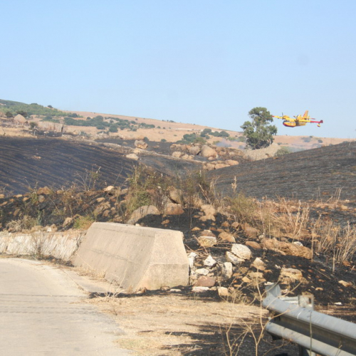 Canadair f. 29 / 15912