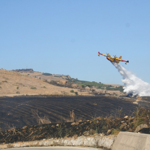 Canadair f. 31 / 15914