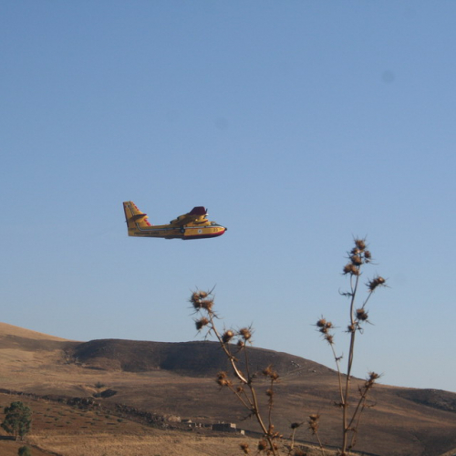 Canadair f. 37 / 15920