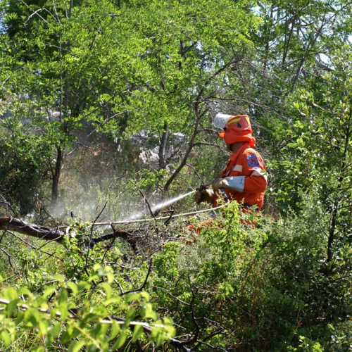 Karst Exercise 2011 n. 65 / 66648