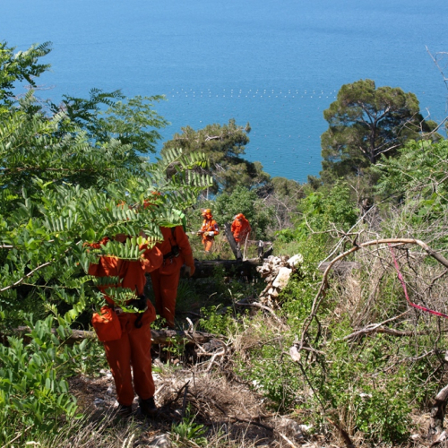Karst Exercise 2011 n. 67 / 66650