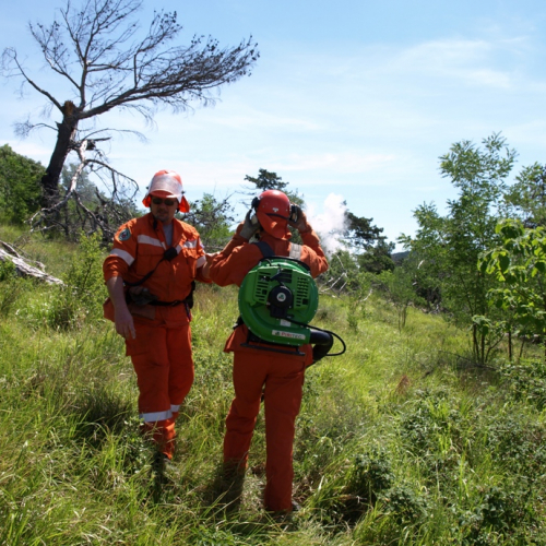 Karst Exercise 2011 n. 69 / 66652