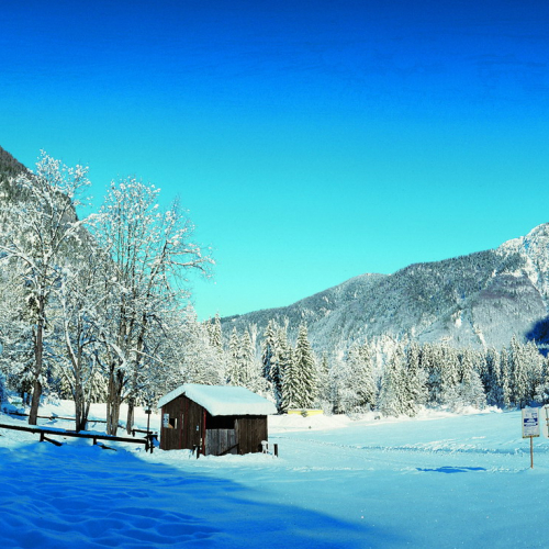 Pista da Fondo / 16582