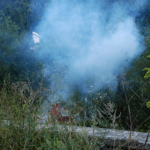 Esercitazione AIB del 29/08/10 n. 3 / 55368