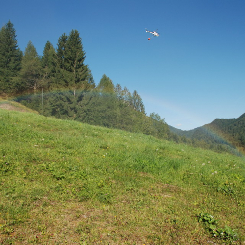 Esercitazione AIB del 29/08/10 n. 77 / 55442