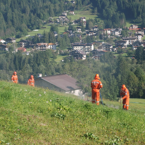 Esercitazione AIB del 29/08/10 n. 81 / 55446