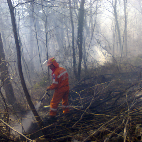 Interventi AIB del BREG mese di marzo 2012 n. 1 / 77506