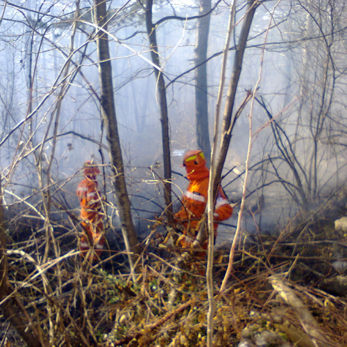 Interventi AIB del BREG mese di marzo 2012 n. 2 / 77507