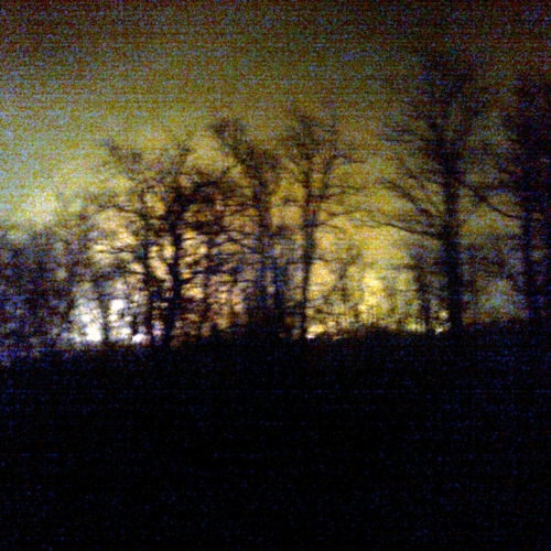Incendio boschivo a Fernetti n. 1 / 76926