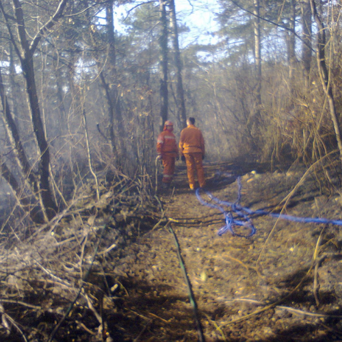 Interventi AIB del BREG mese di marzo 2012 n. 4 / 77509