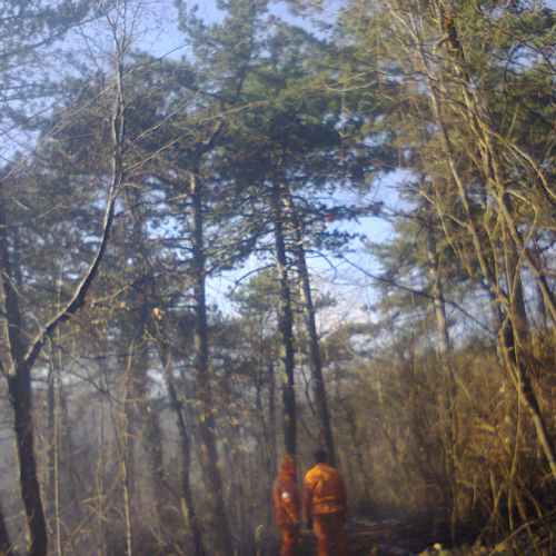 Interventi AIB del BREG mese di marzo 2012 n. 5 / 77510