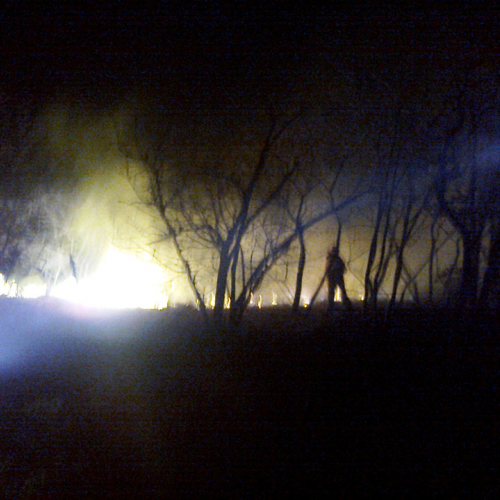 Incendio boschivo a Fernetti n. 2 / 76927