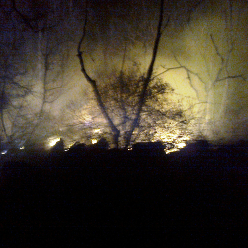 Incendio boschivo a Fernetti n. 3 / 76928