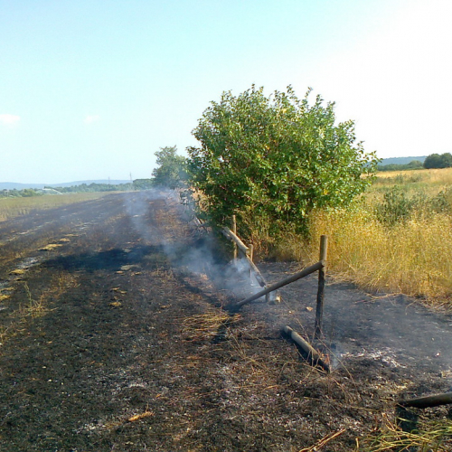 Intervento AIB n. 1 / 97698