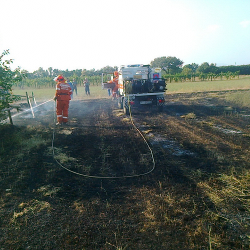 Intervento AIB n. 3 / 97700