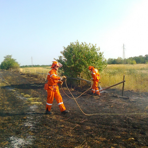 Intervento AIB n. 6 / 97703