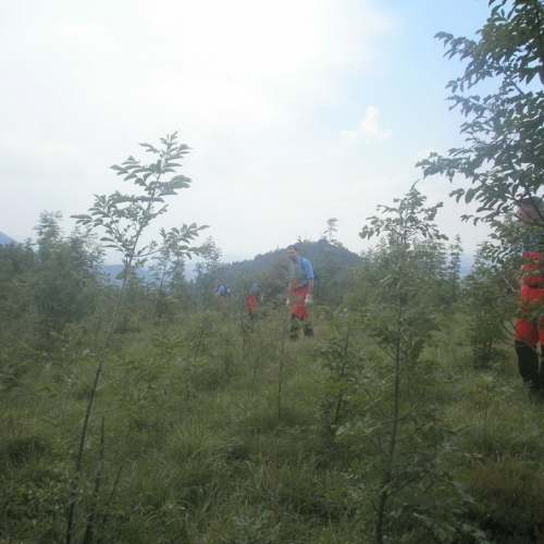 Esercitazione 08/06/2013 n. 1 / 96336