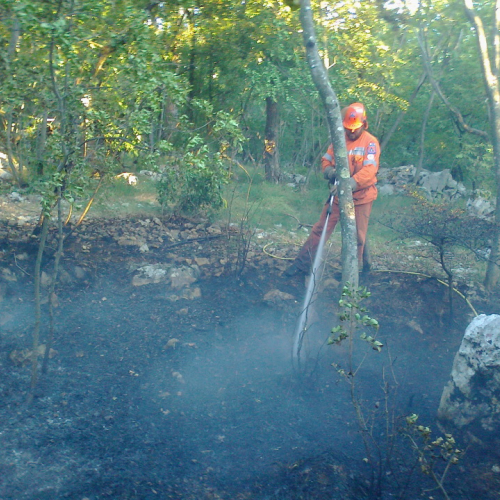 Incendio boschivo Trieste n. 3 / 84760