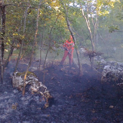Incendio boschivo Trieste n. 4 / 84761