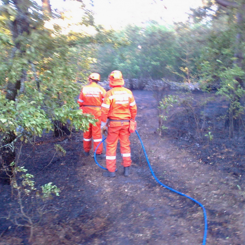 Incendio boschivo Trieste n. 8 / 84765
