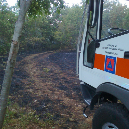 Incendio boschivo Trieste n. 13 / 84770