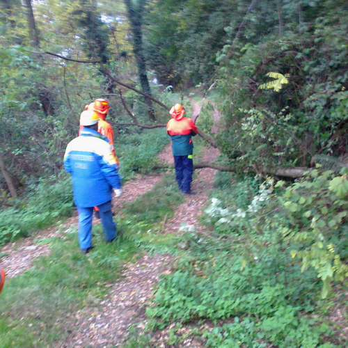 Esercitazione Mont Quarin 2012" n. 2""sercitazione "Mont Qua""ercitazi" / 88333