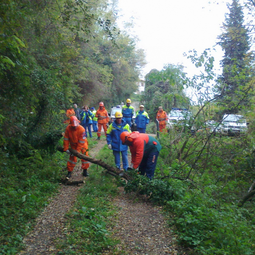 Esercitazione Mont Quarin 2012" n. 3""sercitazione "Mont Qua""ercitazi" / 88334