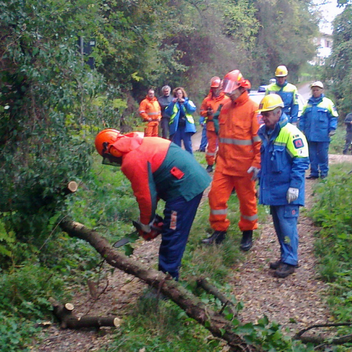 Esercitazione Mont Quarin 2012" n. 4""sercitazione "Mont Qua""ercitazi" / 88335