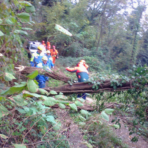 Esercitazione Mont Quarin 2012" n. 5""sercitazione "Mont Qua""ercitazi" / 88336