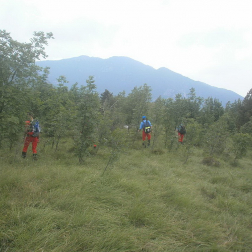 Esercitazione 08/06/2013 n. 2 / 96337