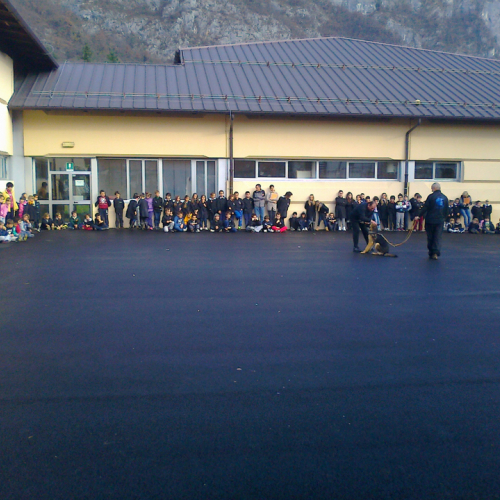 Dimostrazione cani da soccorso n. 2 / 88942