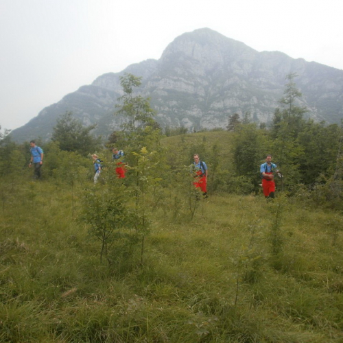 Esercitazione 08/06/2013 n. 8 / 96343