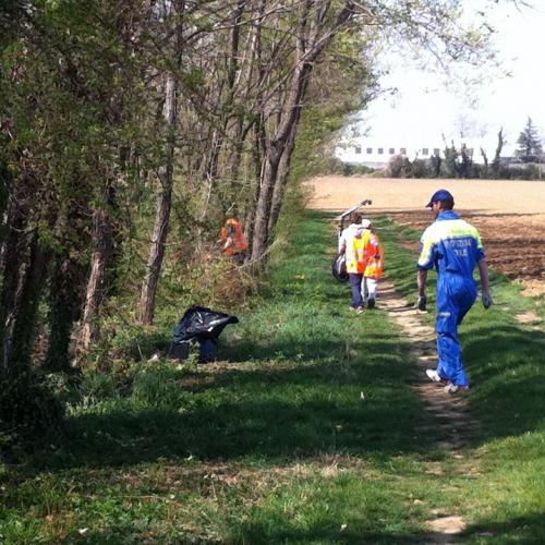 Giornata Ecologica n. 1 / 79668