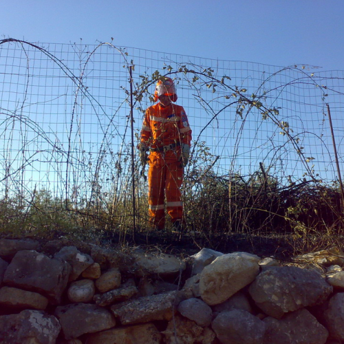 5∞ turno Puglia 2011 n. 19 / 69858