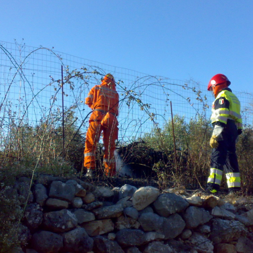 5∞ turno Puglia 2011 n. 22 / 69861