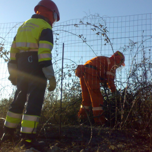 5∞ turno Puglia 2011 n. 23 / 69862