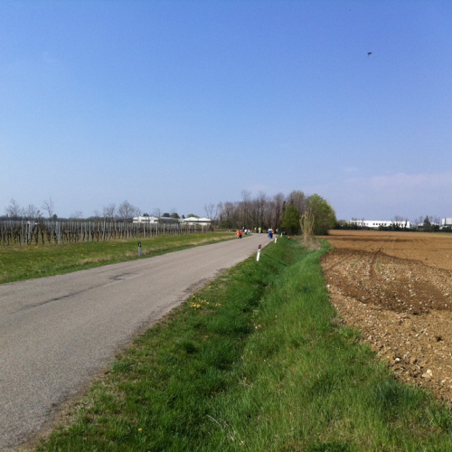 Giornata Ecologica n. 4 / 79671