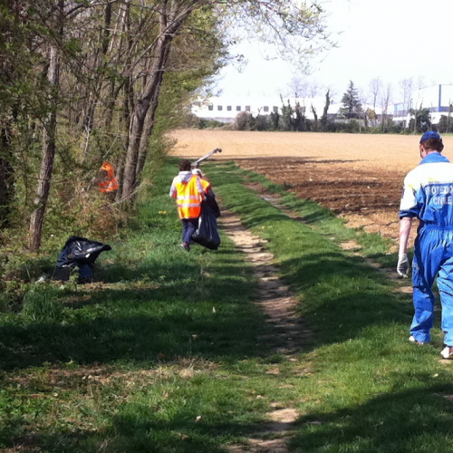 Giornata Ecologica n. 6 / 79673