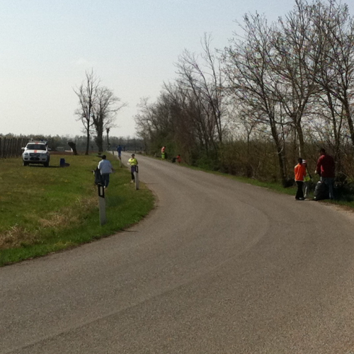 Giornata Ecologica n. 7 / 79674