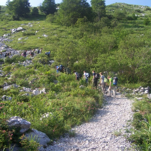 Campo Scuola EAGLES 2012 n. 24 / 84524