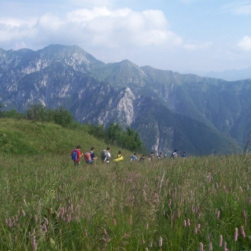 Campo Scuola EAGLES 2012 n. 25 / 84525