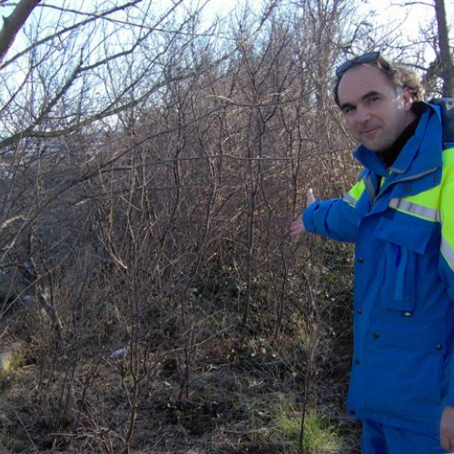 Controllo argini 19/02/11 n. 7 / 61118