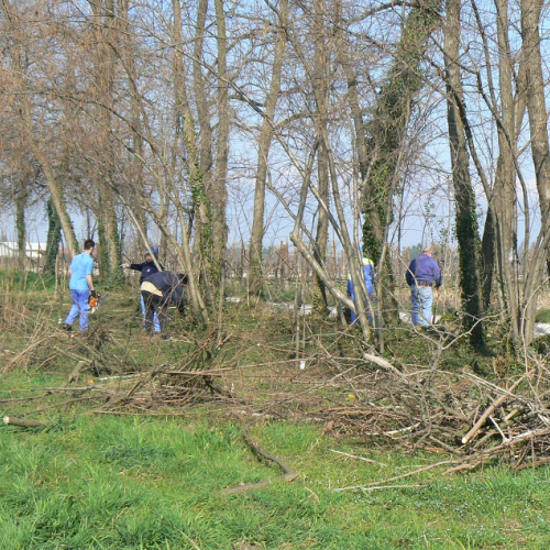 Addestramento del 08/03/14 n. 1 / 105575